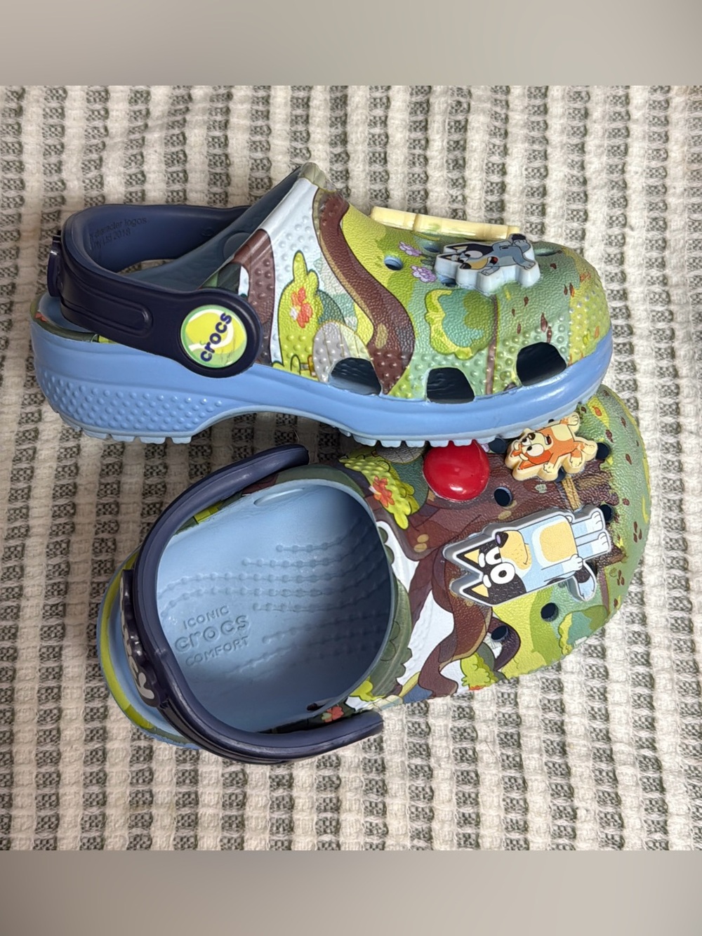 CROCS Kids Clog in Light Blue, BLUEY, with Character Jibbitz